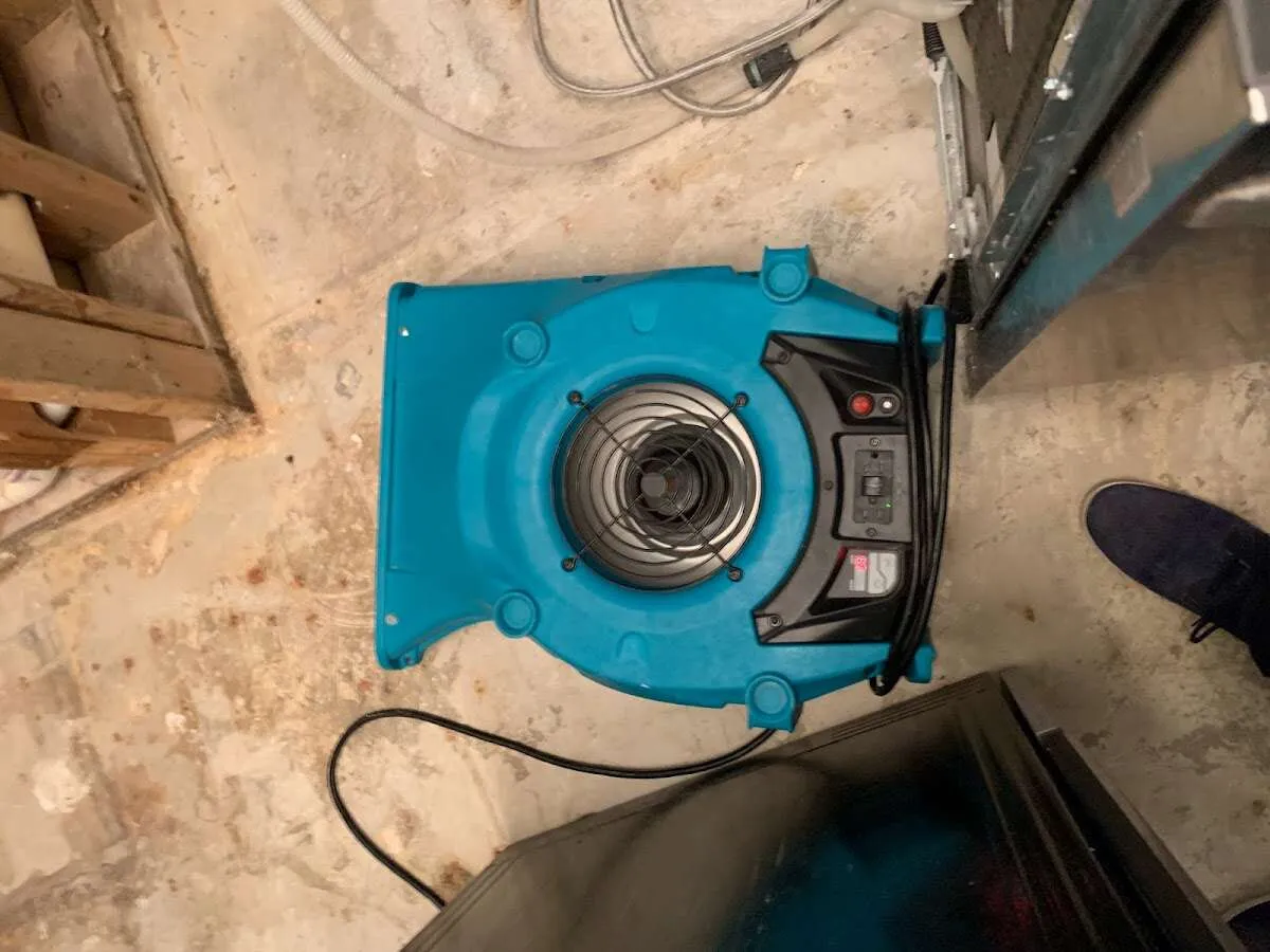 Air mover drying equipment for Mold Remediation & Removal in Mahomet